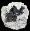 Roselite Crystals on Calcite - Morocco #61203-1